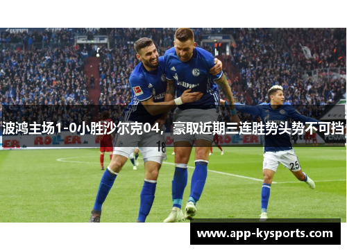 波鸿主场1-0小胜沙尔克04，豪取近期三连胜势头势不可挡