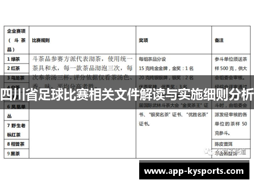 四川省足球比赛相关文件解读与实施细则分析